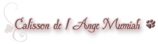 Calisson de l'Ange Mumiah